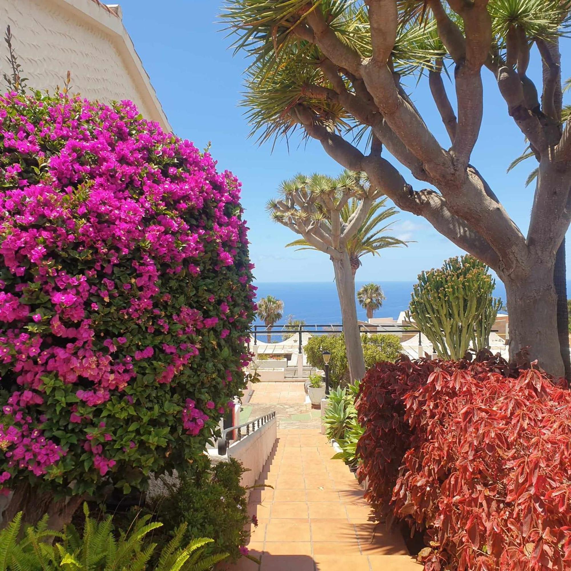 Puerto de la Madera Madre Tierra Apartment מראה חיצוני תמונה